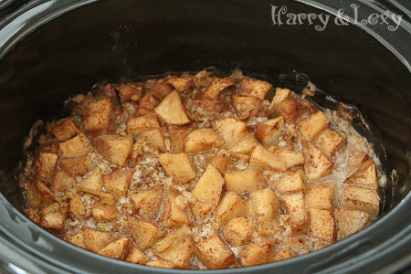 Slow Cooked Apple Cinnamon Oats