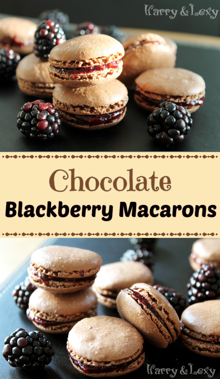 Chocolate Blackberry Macarons