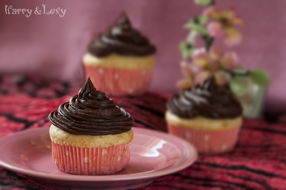 The Ultimate Vanilla Cupcakes with Chocolate Frosting