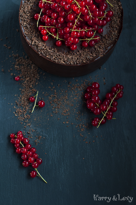 The Best Chocolate Cake with Red Currant