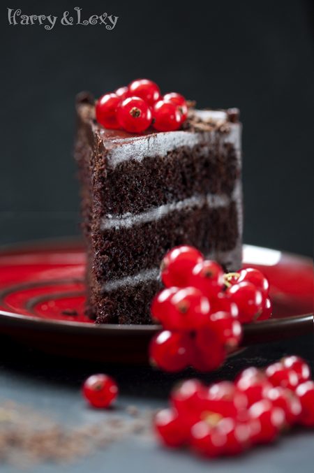 The Best Chocolate Cake with Chocolate Frosting